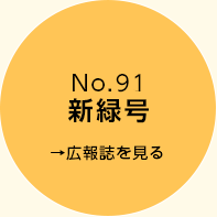 dayori_91